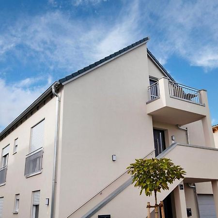 Dachstudio Am Donau Rad Weg 特格尔恩海姆 外观 照片